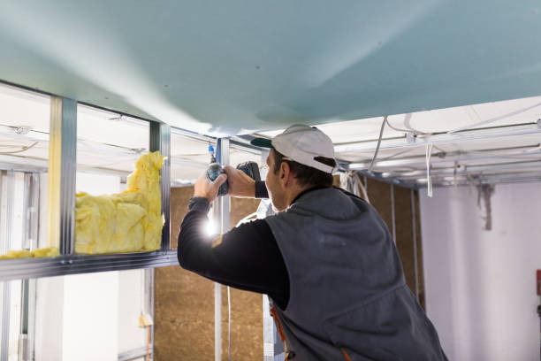 Best Eco-Friendly Insulation in Bright, IN