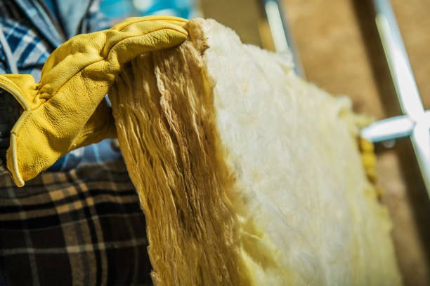 Best DIY Insulation Kits and Guidance in Bright, IN