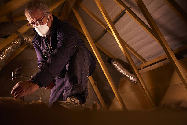 Types of Insulation We Offer in Bright, IN