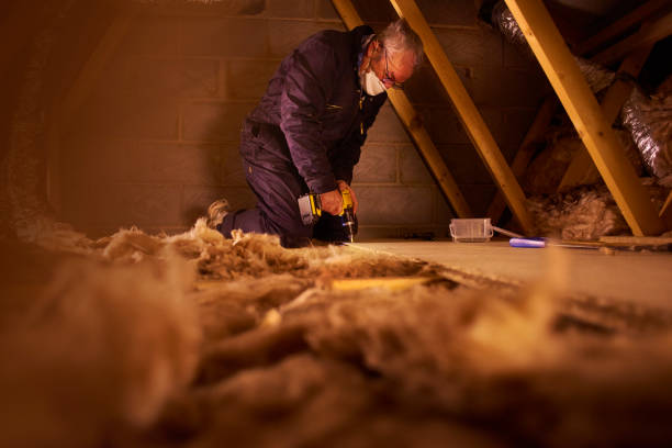 Best Geographic-Specific Insulation Services in Bright, IN